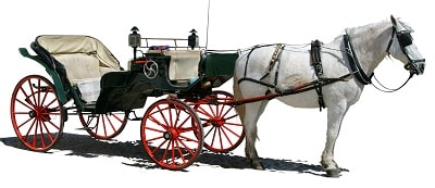 white horse and horse carriage